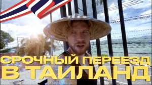 В ТАИЛАНД ЧЕРЕЗ БАНГКОК В 2023 ( ПЕРЕЕЗД ИЗ МОСКВЫ НА САМУИ ) ЕДА ВИЗА ДОМ ПЛЯЖ АРЕНДА
БАЙК БЫТ