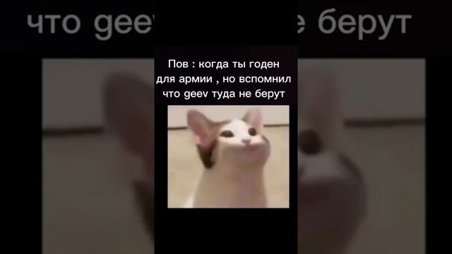 #Мем