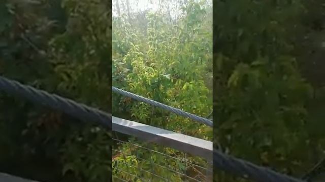 Очень красивая но кароткая сказка про забытый мост в г.Саранск! смотреть онлайн