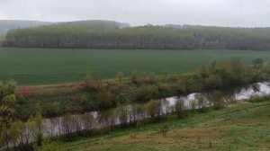 Майская пешка Зарайск - Щурово 2020