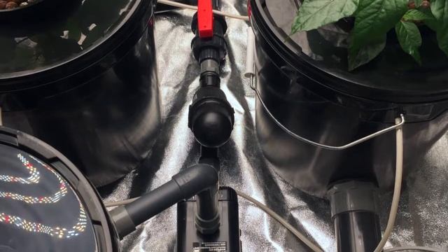 05. RDWC 6 - Система Глубоководной Культуры с Рециркуляцией раствора смотреть онлайн