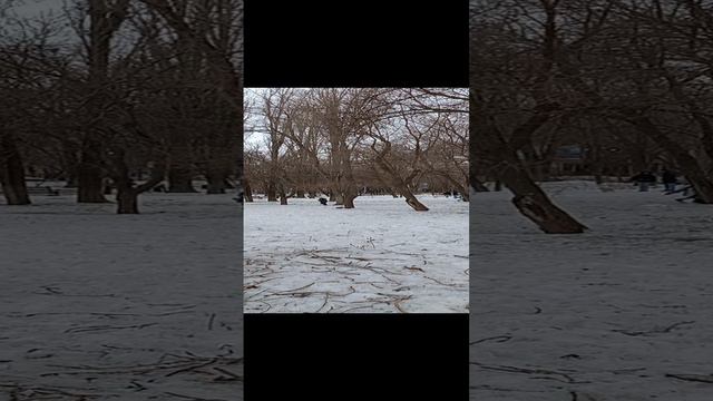 Бой смотреть онлайн