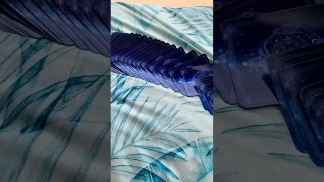 Your daily spirit animal msg allsigns lovereading soulmatereading tarot horoscope