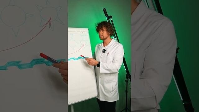 Отличия мезонитей типа Ког от мезонитей типа Barb