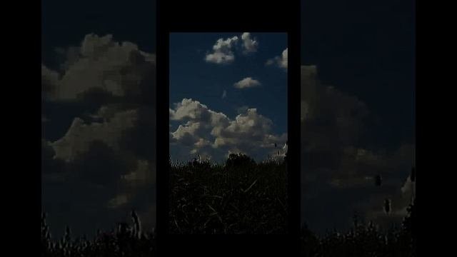 Поле ночью (сверчки, цикады). Звуки природы для отдыха