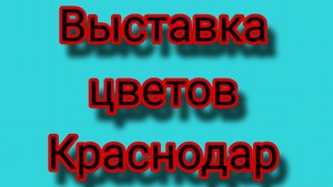 Выставка цветов в Краснодаре.