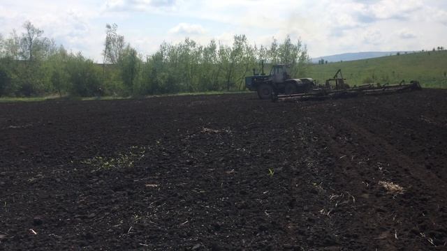 трактор Т-150 двигун смд 60, культивація.mp4 смотреть онлайн
