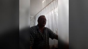 Ветвистая березка