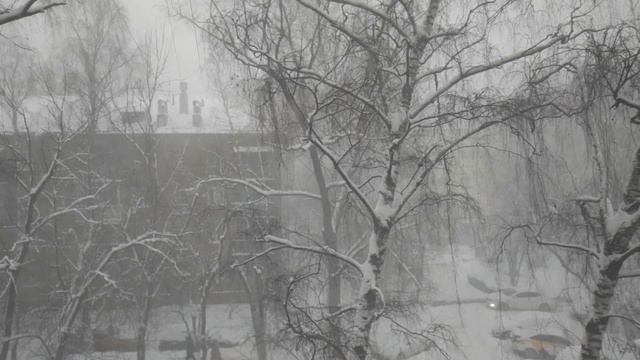 Ужасный снегопад 11 января 2024 года в Москве VID 20240111 114227 смотреть онлайн