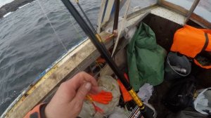 тестируем Ryobi 101 катушку морскую электрическую на воде
