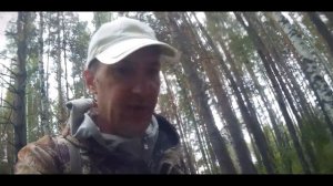 Грибы завели в БОЛОТО!  Поиск опят в тайге.