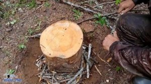 СВАЙНЫЙ ФУНДАМЕНТ ДЛЯ ДОМА "КУРЬИ НОЖКИ"  Как сделать фундамент своими руками на век. Бушкрафт.