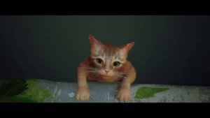 Stray #1 - Начало