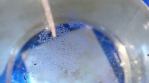 Вот что за МЕСЯЦ ВЫРОСЛО в водопроводной ВОДЕ ?