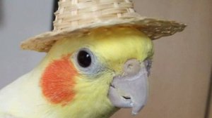 SO | Stalker online | СПАРТА | Ru:1 | ДПУ-7 АТАКАxSxТЫЛА