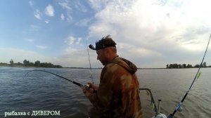 ДИВЕР - Поимка ТРОФЕЙНОГО СОМА - 40 минут кайфа, ловля сома, рыбалка 2017 Харабали река Ахтуба