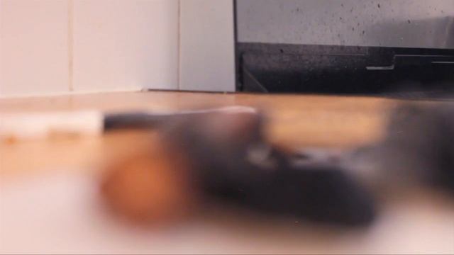 Canon 500d video test смотреть онлайн