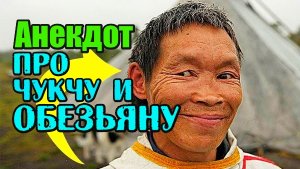 Анекдот про чукчу и обезьяну. Прикольный анекдот.