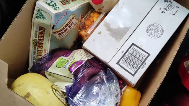 Обзор бесплатной еды в США. Foodbank rewiev in USA. Free food.