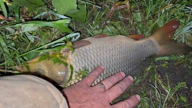 06-09-2023 смотреть онлайн