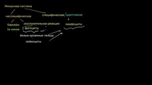 Типы иммунных ответов: врожденный и адаптивный. Сравнение гуморального и клеточного иммунитета
