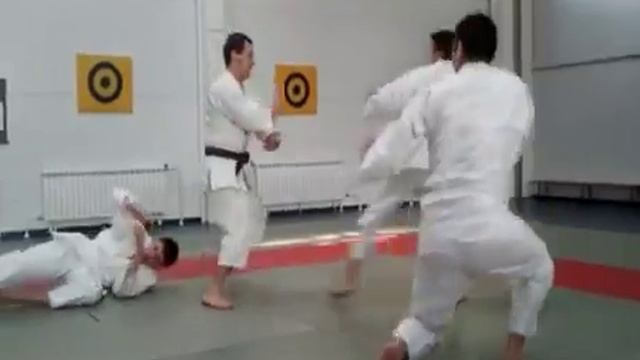 Сёриндзи Кэмпо - наши тренировки 1 | 少林寺拳法 | Shorinji Kempo - training workout 1