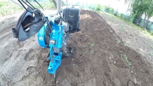 полольники рыхлители