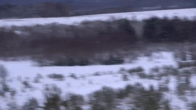 ВЗЯТ ХИТРЫЙ БЫК! смотреть онлайн