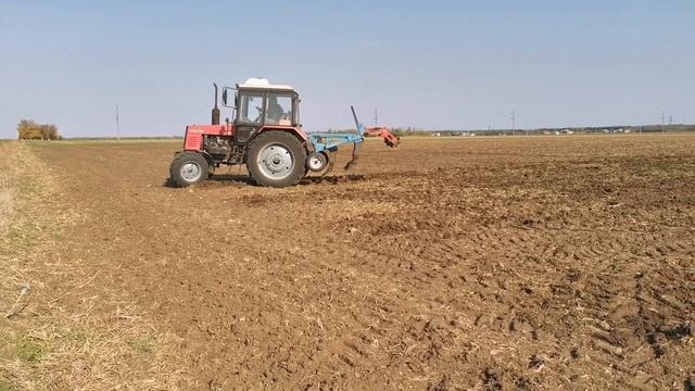 #чизель #мтз #глубокорыхление Безотвальная обработка почвы.