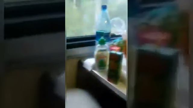 Плюсы и минусы (плацкарт)|Sofa Graf:3 смотреть онлайн