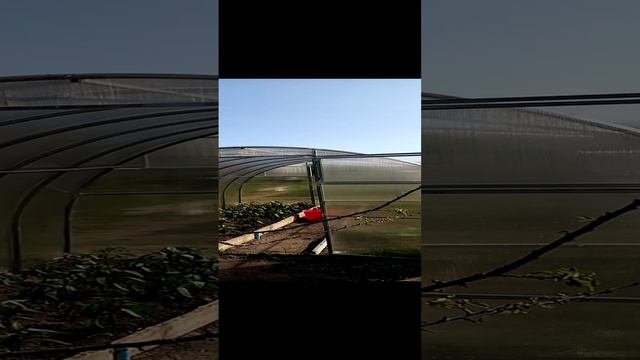 Обзор