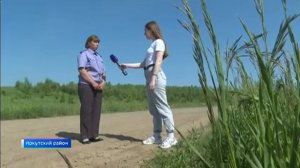 Земли сельскохозяйственного назначения в Иркутской области обследуют государственные инспекторы