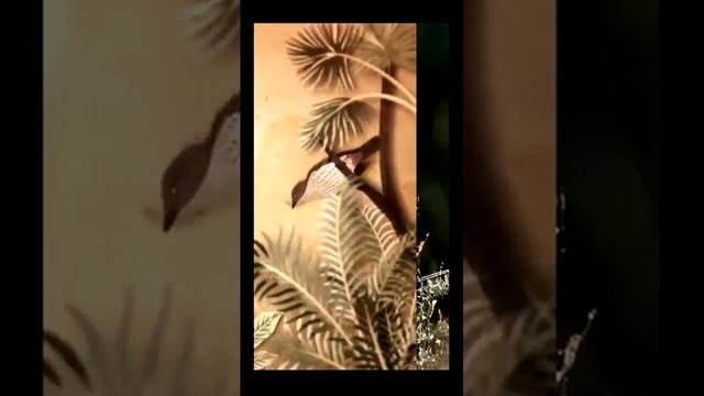 Лес. Ночь. Природа. Звук птиц в ночном лесу