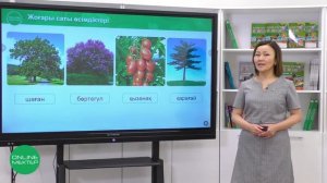 4 сынып. Жаратылыстану. 1 сабақ. Төменгі және жоғары сатыдағы өсімдіктер