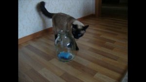 Володенька, слышишь, я тебя зубами загрызу