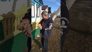 головень 20 марта