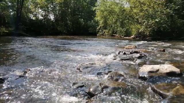 Сгорела дотла! В окружении Киркорова случилось горе смотреть онлайн