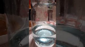 Чайный гриб.Секреты приготовления и уход