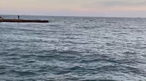 23.11.2022. Погода в Сочи в ноябре. Смотри на Чёрное море каждый день.