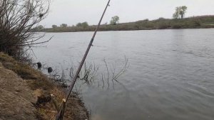 Дон в Ямном.