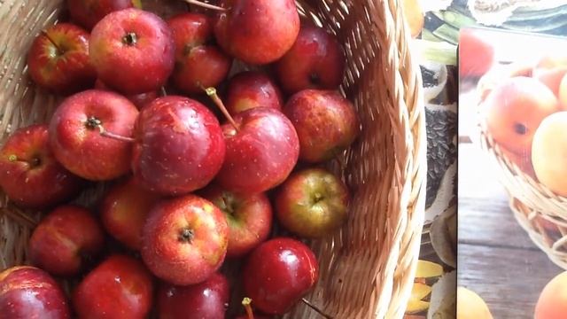 Яблоня "КИТАЙКА КЕРР" смотреть онлайн