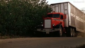 ИСТОРИЯ ПЕРСОНАЖЕЙ DEAD BY DAYLIGHT В РЕАЛЬНОЙ ЖИЗНИ!!! КТО ОНИ ЕСТЬ?!