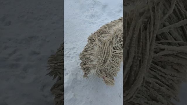 Снежок наше всё ☺️