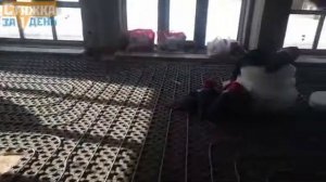 Устройство стяжки теплого пола