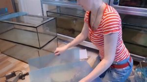 как разделить готовый аквариум.будни рЫбовладельца часть 2.клеим перегородки