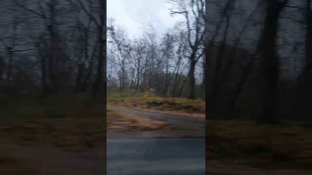 Мимо старинной брусчатки #клипернедвижимость