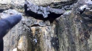 Поиск янтаря на берегу Балтийского моря и заброшенные бункера