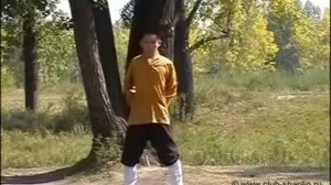 Комплекс Цигун 'Восемь кусков парчи' Обуч видео