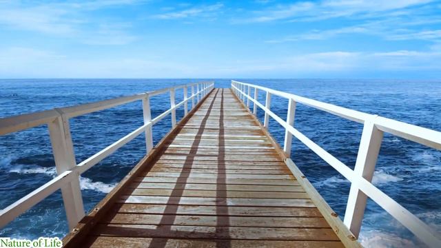 Relaxing With Chinese Guzheng, Bamboo Flute, Erhu🎶1 Hour Healing Anxiety & Stress[Nature Backgorund смотреть онлайн