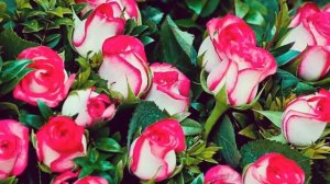 Песня твои глаза такие чистые как небо